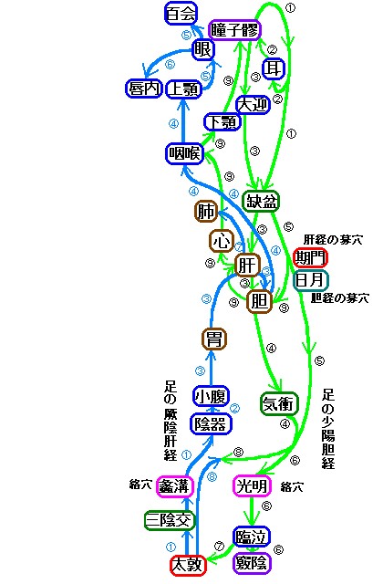 ���̏��z�_�o�Ƒ��̙ΉA�̌o�̗����}