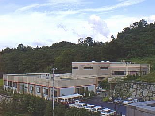 �J�����A����