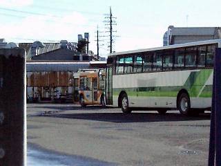 �������Ɍ�����̂́A�s�c�m���X�e�b�m�f�ԁI