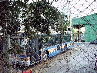 IBUS�E���l�s�c�m���X�e