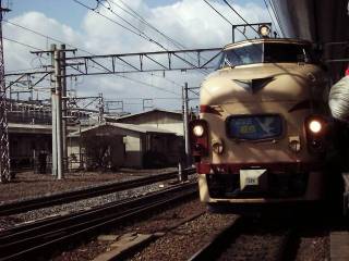 ����Ȃ甒�������s�w����