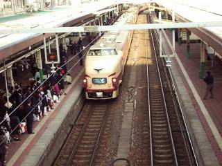 ����Ȃ甒�����V���w����