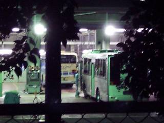 ���l�s�c�G���K�m���X�e��IBUS