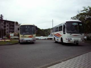 �]�m�d���܂�肭��Ƌ��}�|�j�[�����j�[�R�ŕ���