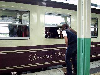 �r�k�΂񂦂��ꍆ�̉ԉ�