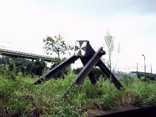 �����S���̈�Y�H�I�̎Ԏ~��