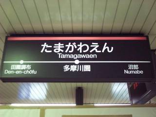 ���̓�����̖ڊ��������쉀�w���[