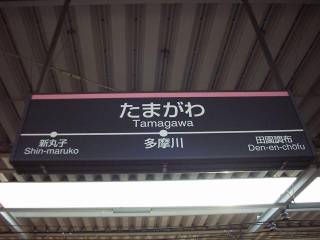 ���̓����瑽����w