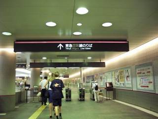 �ڍ����ڍ��w���� ���̂��Ɣ��������։�