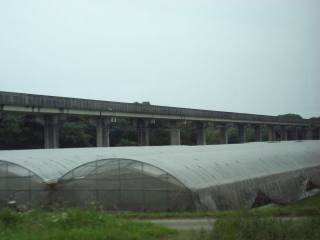 ���j�A������