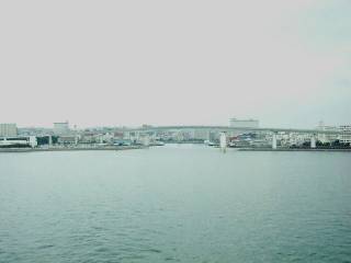 ���勴�������Ă���