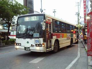 �ߔe��ʁE�s�O���p�k�u(�O�ʃ��C�h�K���X)