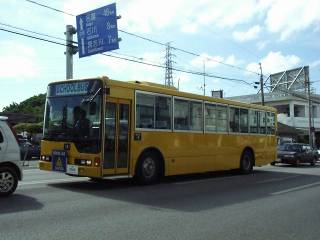 ����ŐV�̎ԗ��H�I�ČR�A���̂ӂ����l�o