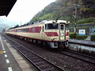 181�n�����P��������