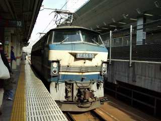 �Ō�́u������v������������EF66 50