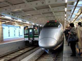 �V���w�̎R�`�V�����z�[��