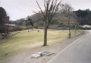 ���ꂢ�Ȍ���