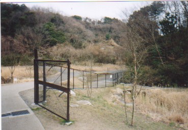 �H��i�����j�̋�