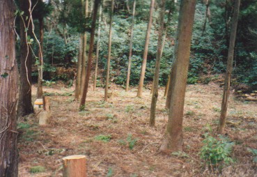 �؂̂��镗�i