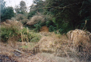 ���󔭌��I