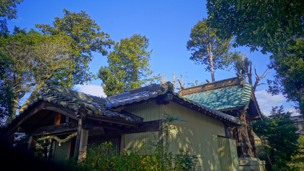 �x�m�s�эj�_��