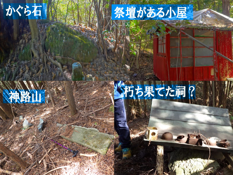 ������΂Ɛ_�H�R