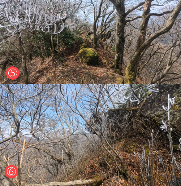 �x�m�ƈʔv��q�ދ���