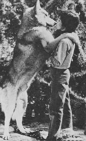 �N���X�}�X�E�c���[���@�p�X�J���ƘT