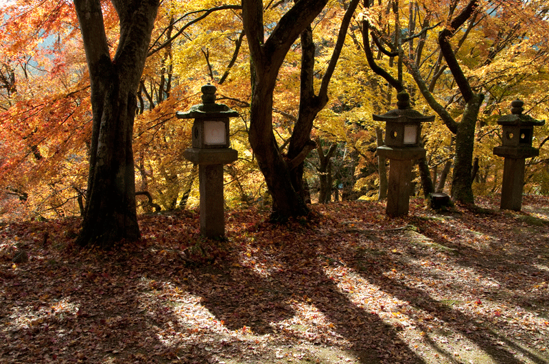 �k�R�_�Ё@�B�e�^����c��