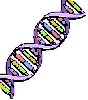 DNA