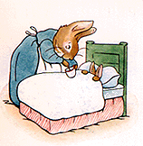 ピーターラビット