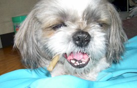 1036.jpg (16456 �o�C�g)