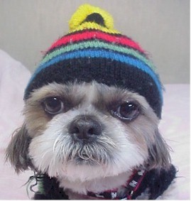 t-cap.jpg (22722 �o�C�g)