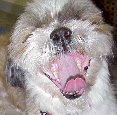 tarou-1.jpg (20354 �o�C�g)