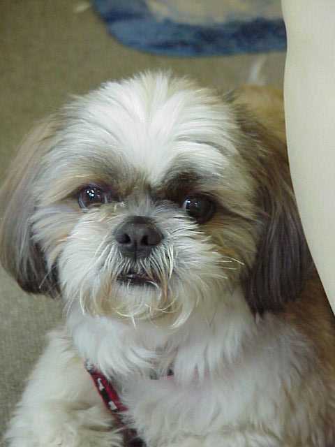 tarou-2.jpg (23973 �o�C�g)