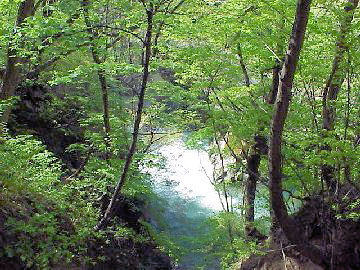 �V�΂̓����k�J