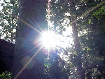 �΂Â���ւ̎Q��