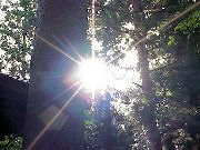 �΂Â���ւ̎Q��