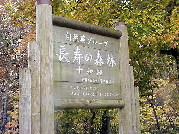 �����̐X��