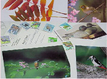 �؂̌|�p�� Woody Art or Relish