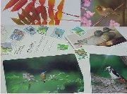 �؂̌|�p�� Woody Art or Relish