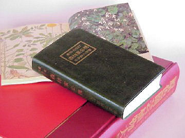 ���̂���f�[�^�x�[�X