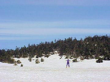 �X�у��N���G�[�V����