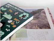 �X�уC���X�g���N�^�[