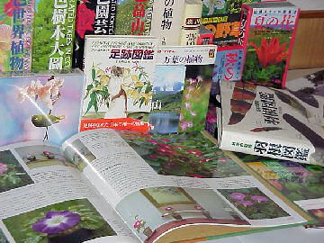 �g�s�b�N�X��{�[�h