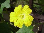 �A���̐��E�T