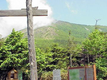 �v���o�̍��R�A��