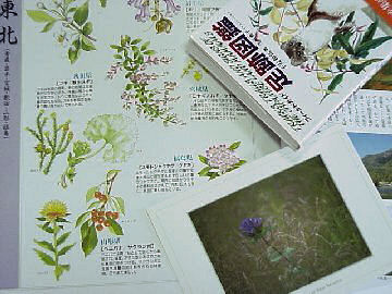 �쐶���A���͗F�B