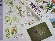 �쐶���A���͗F�B