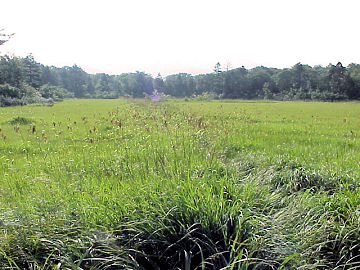 �x�R�J�n H18.8.20